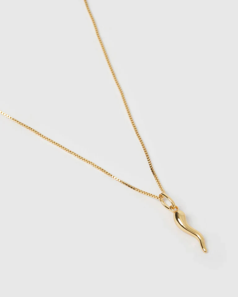 Cornicello Gold Charm Necklace - Image 2
